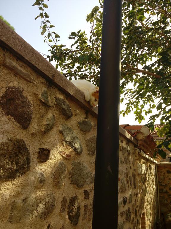 Aristonicus Boutique Hotel Бергама Екстериор снимка