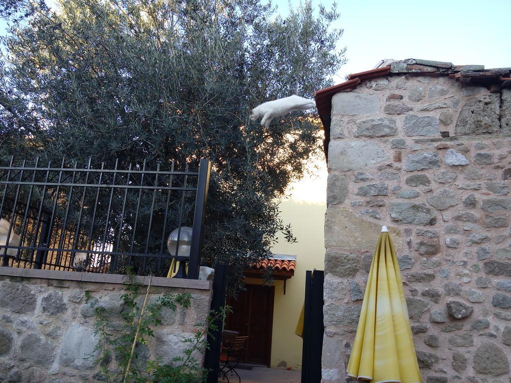 Aristonicus Boutique Hotel Бергама Екстериор снимка